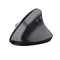 Trust Bayo+ mouse Right-hand RF Wireless + Bluetooth Optical 2400 DPI