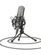 Trust GXT 242 Black Table microphone