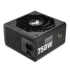 ASUS TUF Gaming 750W Gold 750W ATX Fully-Modular Power Supply Unit | 80 PLUS Gold