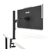 ASUS ZenScreen MB249C 24" Full HD Monitor | 1920 x 1080 75Hz USB-C HDMI