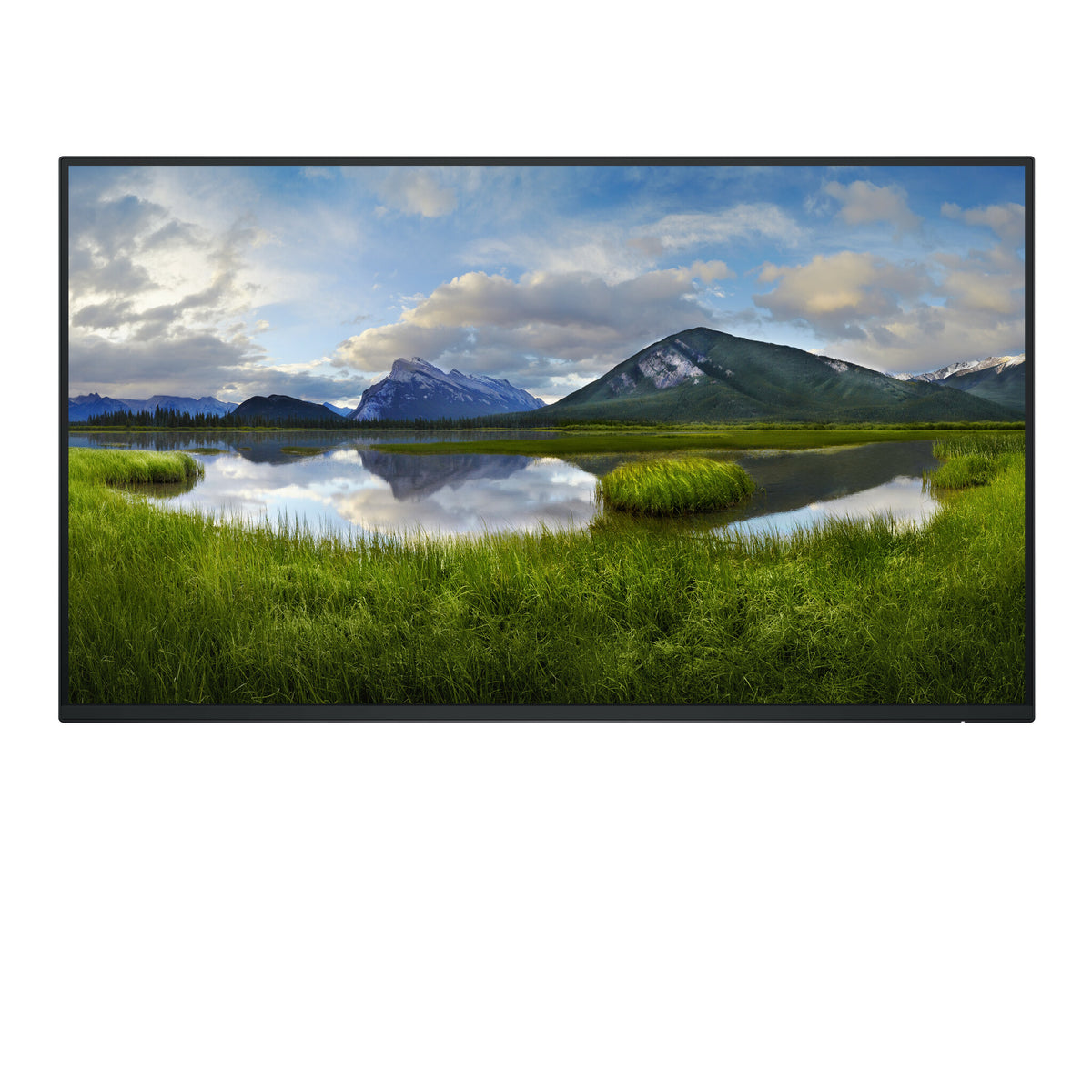 DELL P Series P2725H_WOST 27" Full HD Monitor | 1920 x 1080 100Hz HDMI VGA DP