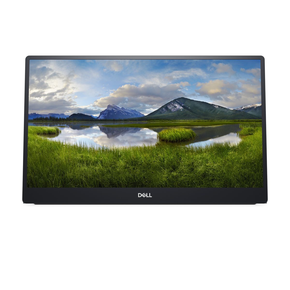 DELL P Series P1424H 14" Full HD Monitor | 1920 x 1080 60Hz USB-C
