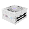 Gigabyte AORUS ELITE P1000W ICE 1000W ATX Fully-Modular Power Supply Unit | 80 PLUS Platinum