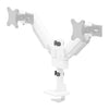 Neomounts desk monitor arm