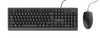 Trust Primo Keyboard | Wired, QWERTY, Black, Mouse Included