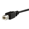 StarTech 3 ft Panel Mount USB Cable B to B - F/M