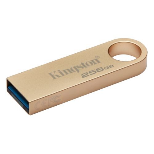 Kingston Technology DataTraveler 256GB 220MB/s Metal USB 3.2 Gen 1 SE9 G3