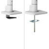 Neomounts monitor arm desk mount