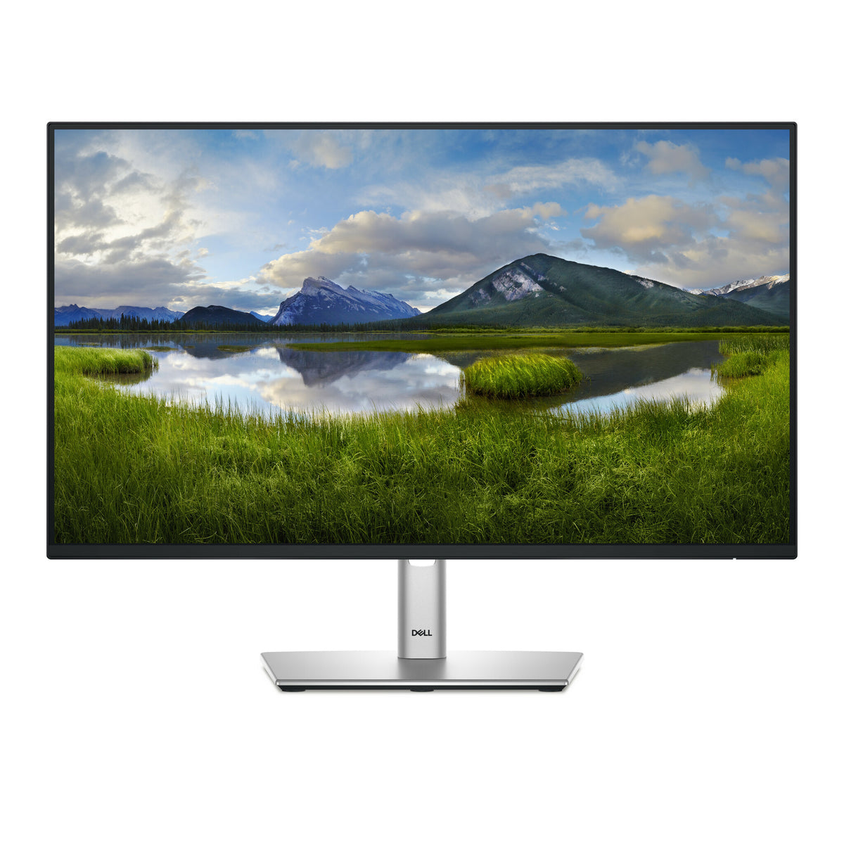 DELL P Series P2425HE 24" Full HD Monitor | 1920 x 1080 100Hz USB-C HDMI DP