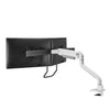 Neomounts monitor arm desk mount