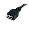 StarTech 6 ft Black USB 2.0 Extension Cable A to A - M/F