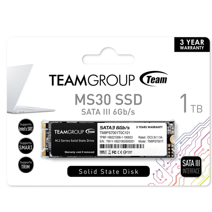 Team Group MS30 1 TB PC/Laptop Internal SSD | Serial ATA III M.2