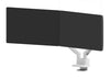 Neomounts desk monitor arm