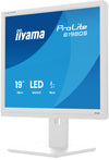 iiyama ProLite B1980S-W1 computer monitor 48.3 cm (19") 1280 x 1024 pixels SVGA LED White