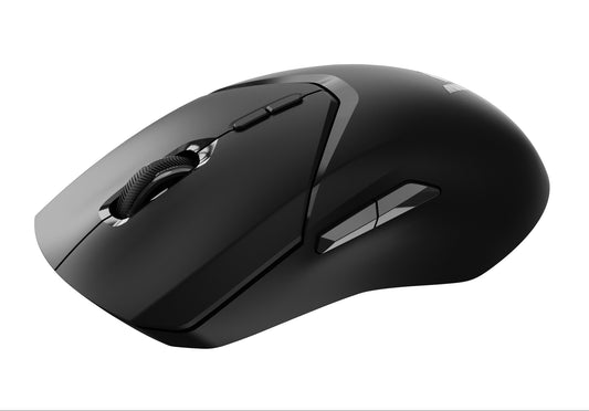 Rapoo VT9PRO mouse Right-hand RF Wireless + USB Type-C Optical 26000 DPI
