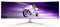 Philips Evnia 49M2C8900/00 49" Dual QHD Curved Gaming Monitor | 5120 x 1440 240Hz USB-C HDMI DP