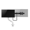 Neomounts monitor arm desk mount