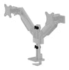 Neomounts desk monitor arm