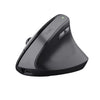 Trust TM-270 mouse Right-hand RF Wireless Optical 2400 DPI