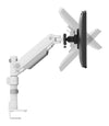 Neomounts desk monitor arm