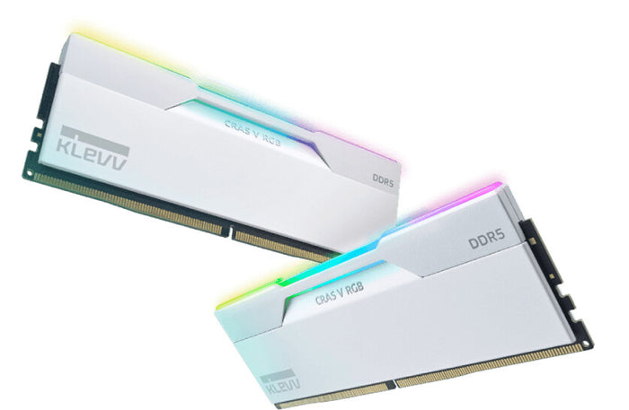 Klevv KD5AGUA80-60A300J memory module