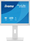 iiyama ProLite B1980S-W1 computer monitor 48.3 cm (19") 1280 x 1024 pixels SVGA LED White