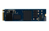 Kingston 960G DC2000B 960 GB Server Internal SSD | 3D TLC NVMe PCI Express 4.0 M.2