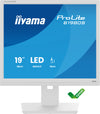 iiyama ProLite B1980S-W1 computer monitor 48.3 cm (19") 1280 x 1024 pixels SVGA LED White