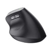 Trust TM-270 mouse Right-hand RF Wireless Optical 2400 DPI