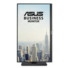 ASUS BE249CGN computer monitor 60.5 cm (23.8") 1920 x 1080 pixels Full HD LCD Black
