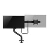Neomounts monitor arm desk mount