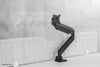 Neomounts by Newstar Select Neomounts monitor desk mount for curved screens